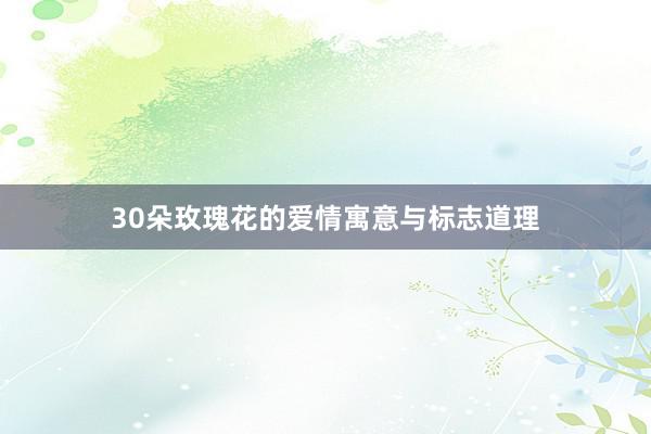 30朵玫瑰花的爱情寓意与标志道理