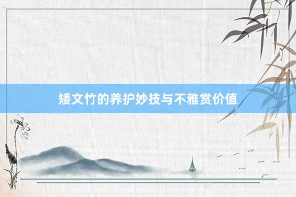 矮文竹的养护妙技与不雅赏价值