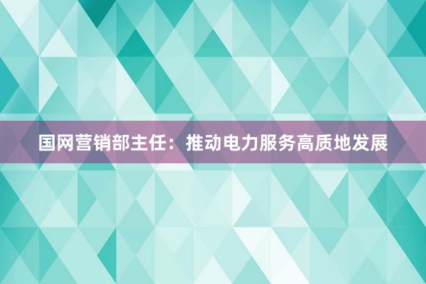国网营销部主任：推动电力服务高质地发展